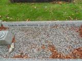 image of grave number 583266